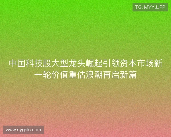 中国科技股大型龙头崛起引领资本市场新一轮价值重估浪潮再启新篇